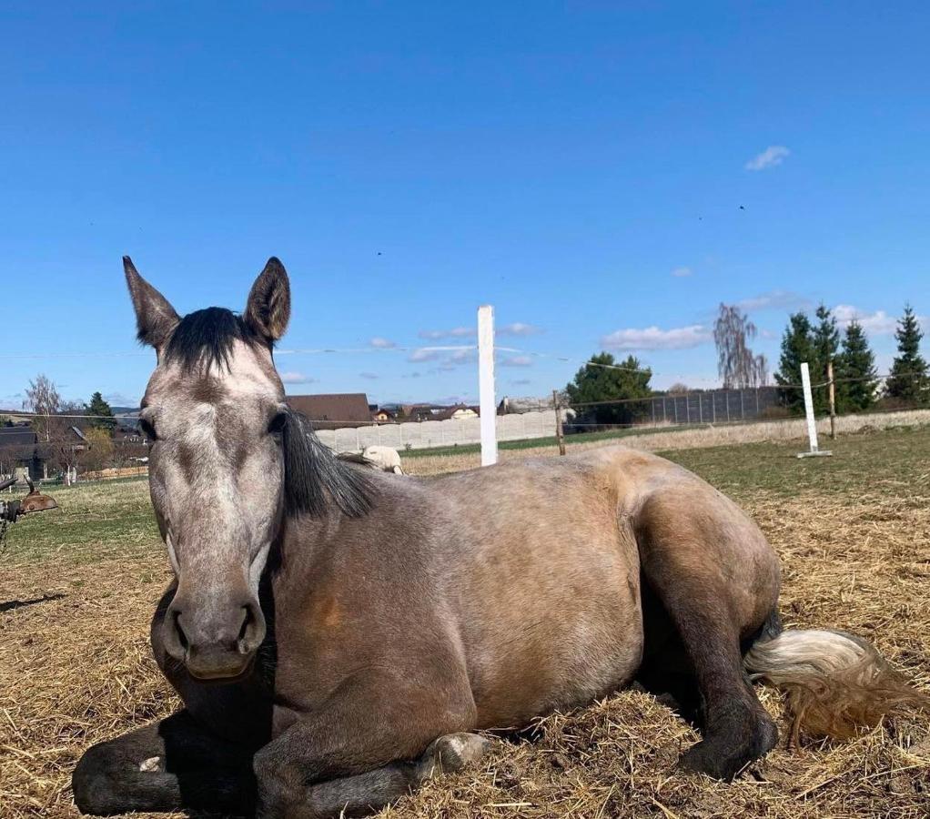 Agro Privat Hotel Hrabušice Buitenkant foto